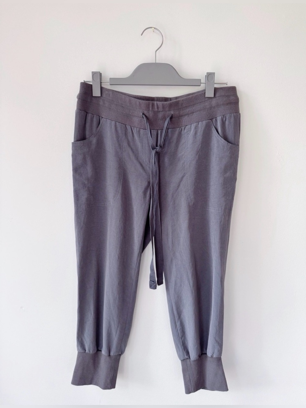 Elizabeth and James lightweight silky joggers in grey, women’s size 2